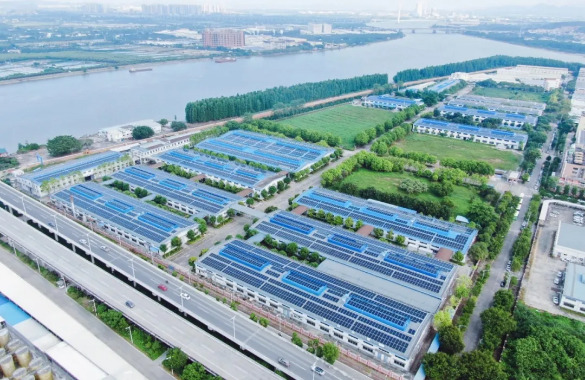 2025-06-16_112613.jpg 2025-06-16_112613.jpg